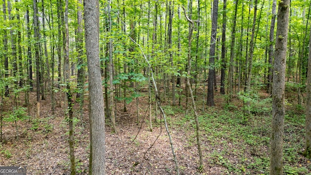 0 Thomas Powers Rd Unit 5.54/-, Acres, Newnan, GA 30263