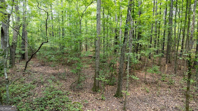 0 Thomas Powers Rd Unit 5.54/-, Acres, Newnan, GA 30263