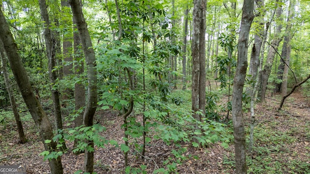 0 Thomas Powers Rd Unit 5.54/-, Acres, Newnan, GA 30263