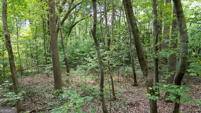 0 Thomas Powers Rd Unit 5.54/-, Acres, Newnan, GA 30263