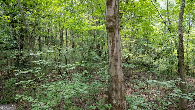 0 Thomas Powers Rd Unit 5.54/-, Acres, Newnan, GA 30263