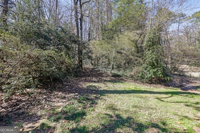 696 Kenilworth Cir, Stone Mountain, GA 30083 - view of green lawn with a wooded view