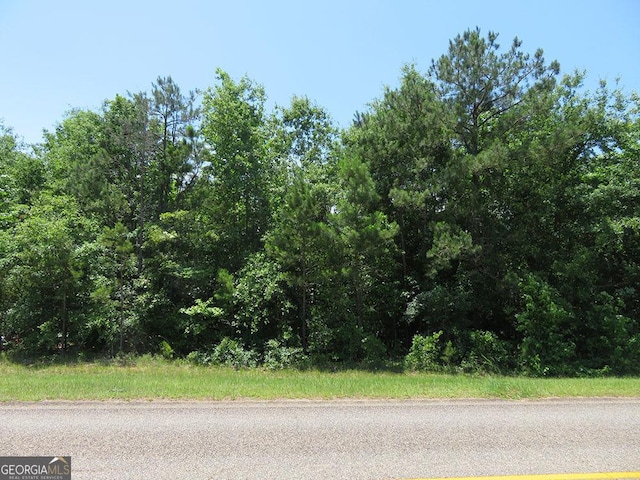 0 Cool Branch Rd, Georgetown, GA 39854