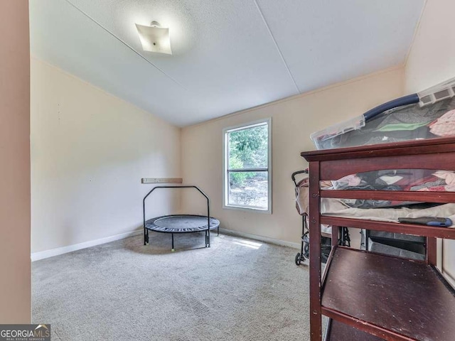 108 Casual Ridge Run, Jasper, GA 30143 - exercise area featuring carpet, lofted ceiling, and baseboards