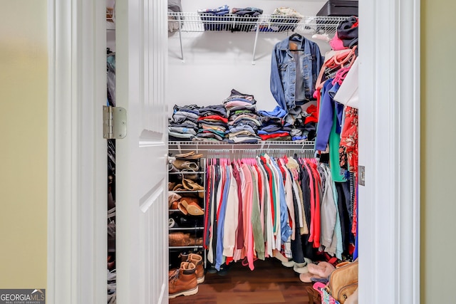 17 Sagefield Dr, Ellabell, GA 31308 - spacious closet with wood finished floors
