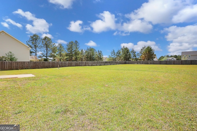 17 Sagefield Dr, Ellabell, GA 31308 - view of yard