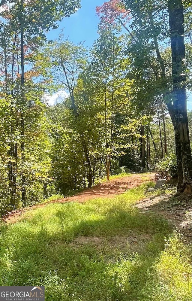0 Chimney Mountain Rd, Sautee Nacoochee, GA 30571
