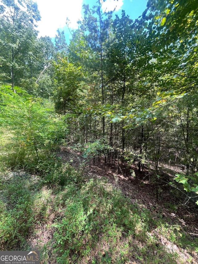 0 Chimney Mountain Rd, Sautee Nacoochee, GA 30571