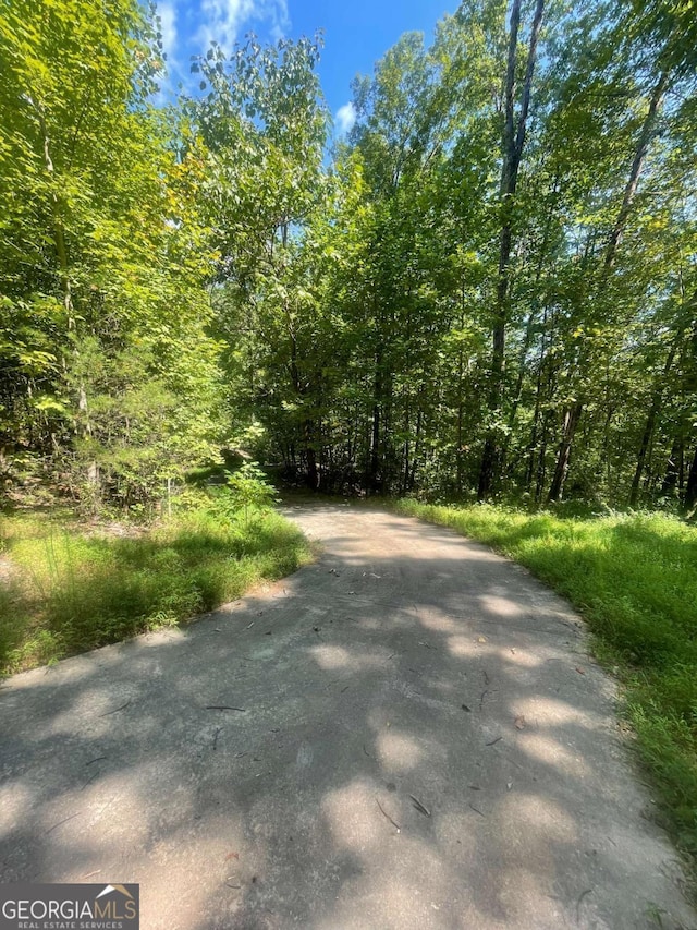 0 Chimney Mountain Rd, Sautee Nacoochee, GA 30571