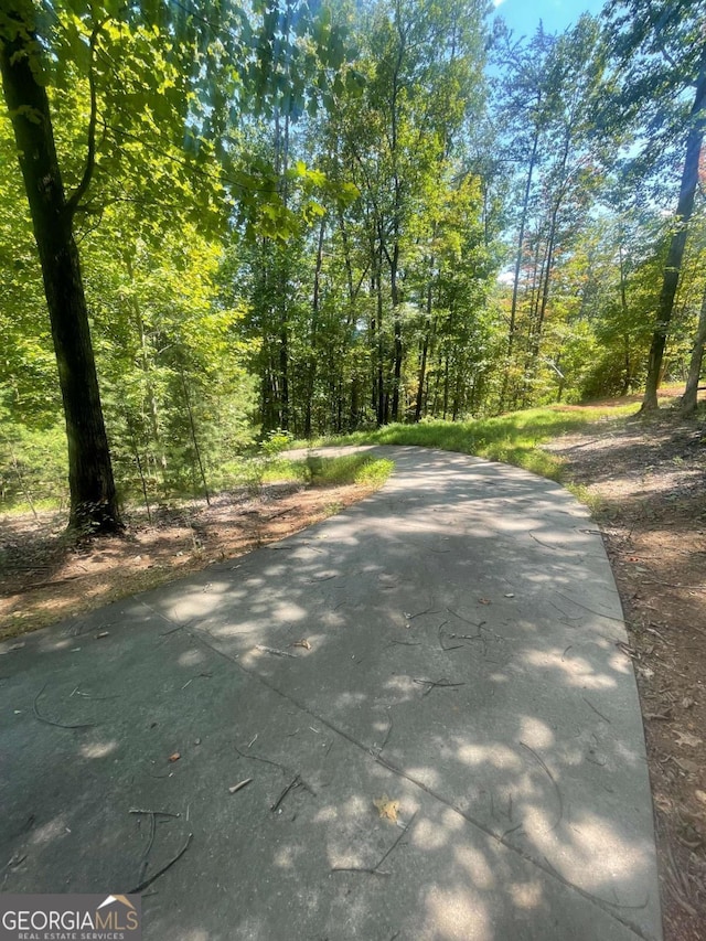 0 Chimney Mountain Rd, Sautee Nacoochee, GA 30571