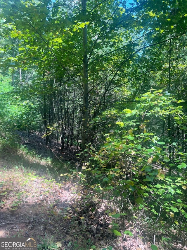 0 Chimney Mountain Rd, Sautee Nacoochee, GA 30571