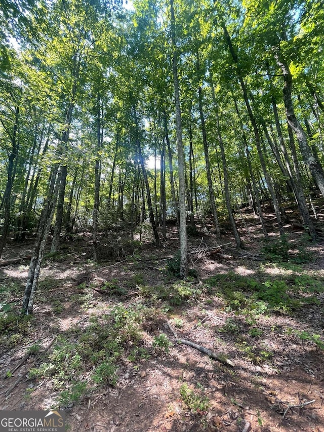 0 Chimney Mountain Rd, Sautee Nacoochee, GA 30571
