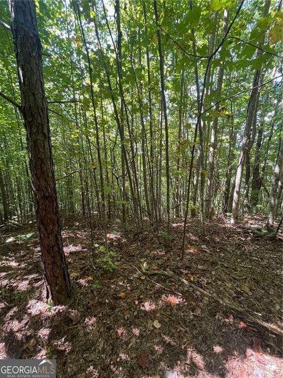 0 Rainwater Trl, Tiger, GA 30576