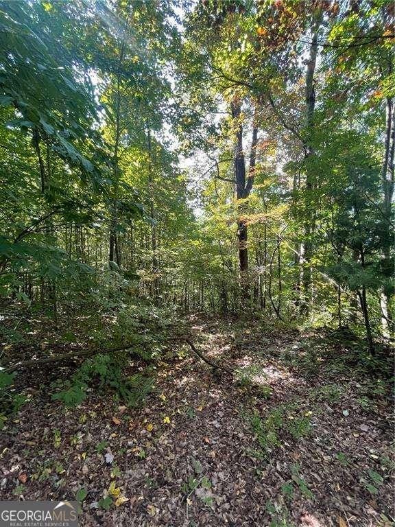 0 Rainwater Trl, Tiger, GA 30576