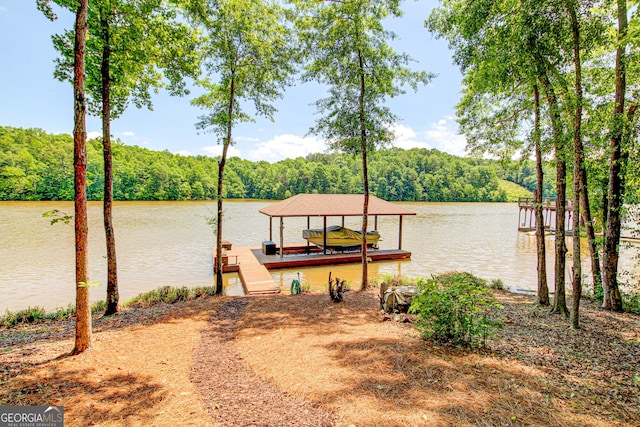 496 Cedar Valley Dr, Wedowee, AL 36278 - dock with boat lift, a forest view, and a water view