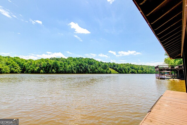 496 Cedar Valley Dr, Wedowee, AL 36278 - dock featuring a water view and a view of trees