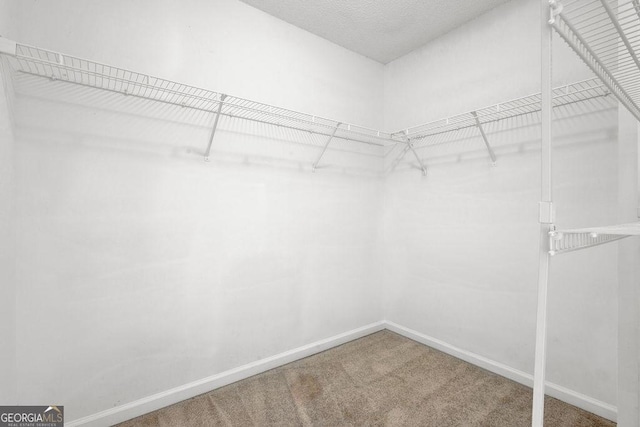 3885 Riverview Chase Blf, Ellenwood, GA 30294 - walk in closet with carpet