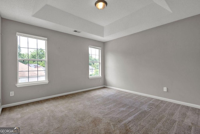 3885 Riverview Chase Blf, Ellenwood, GA 30294 - empty room featuring a raised ceiling, plenty of natural light, and carpet floors