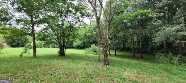 119 E Johnson St, Temple, GA 30179 - view of grassy yard featuring a forest view