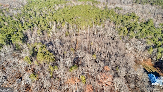 0 Haynie Rd, Moreland, GA 30259