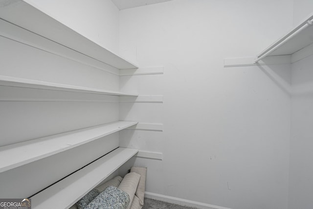 755 Madison Dr, Hinesville, GA 31313 - spacious closet with carpet flooring