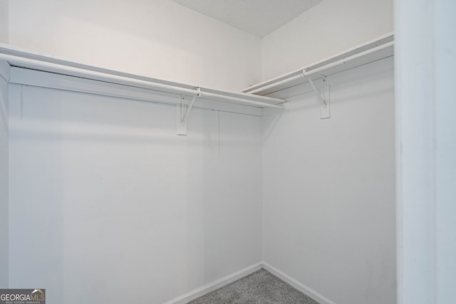 755 Madison Dr, Hinesville, GA 31313 - walk in closet featuring carpet