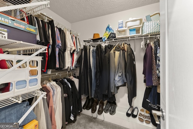 92 Isaiah Dr, Jefferson, GA 30549 - walk in closet with carpet flooring