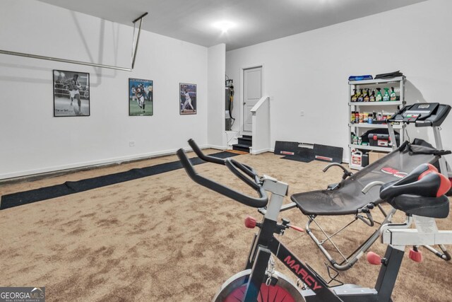 289 Pond Ct, Hoschton, GA 30548 - workout area featuring carpet floors