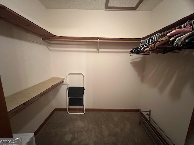 21 Cannon Cir NW, Cartersville, GA 30120 - walk in closet featuring dark colored carpet