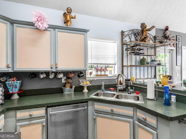 2040 Elm Grove Ln, Hampton, GA 30228 - kitchen featuring stainless steel dishwasher, dark countertops, and a sink