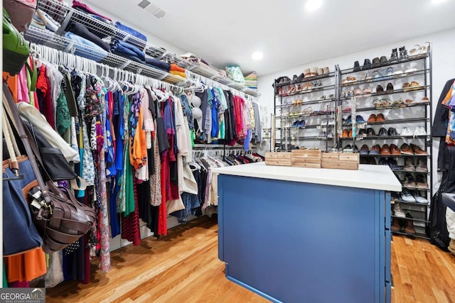 5535 Buck Hollow Dr, Alpharetta, GA 30005 - spacious closet featuring light wood-style flooring