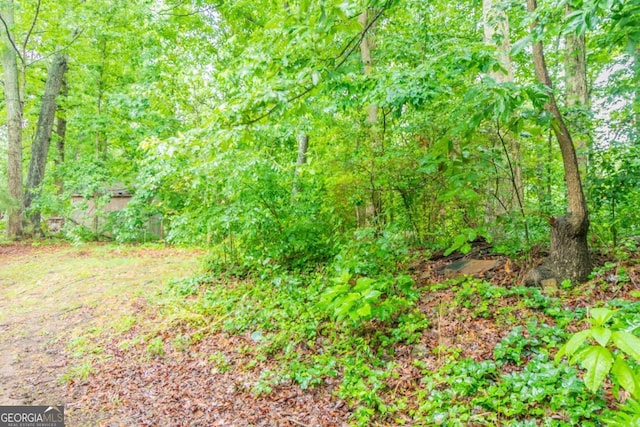 3440 Quinn Ridge Dr, Snellville, GA 30039 - view of tree filled area