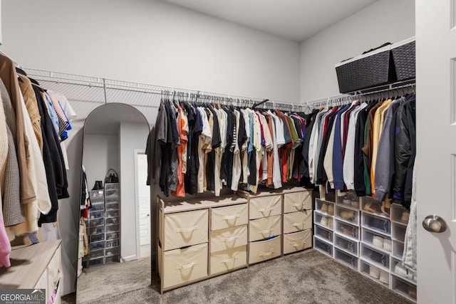 187 Lyndhurst Dr, Bethlehem, GA 30620 - walk in closet with carpet floors