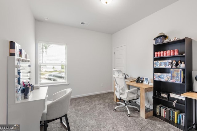 187 Lyndhurst Dr, Bethlehem, GA 30620 - office space with carpet floors and baseboards
