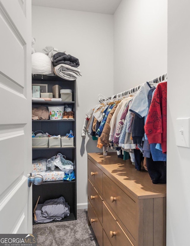 187 Lyndhurst Dr, Bethlehem, GA 30620 - spacious closet featuring carpet