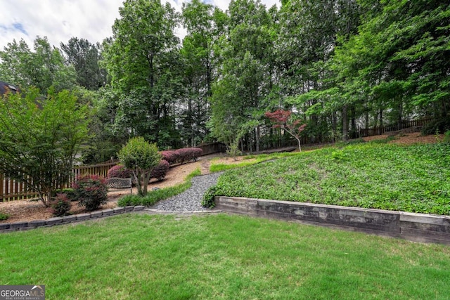 1997 Shaker Falls Ln, Lawrenceville, GA 30045 - view of yard