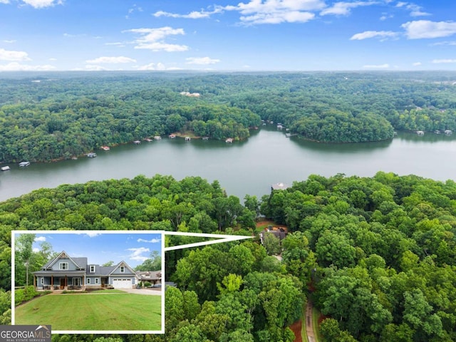 4847 Destitute Way, Gainesville, GA 30506 - view of subject property featuring a forest, property boundaries highlighted, and a nearby body of water