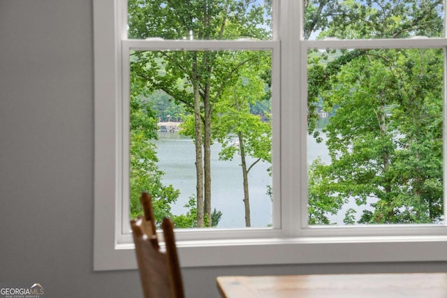 4847 Destitute Way, Gainesville, GA 30506 - detailed view of a nearby body of water