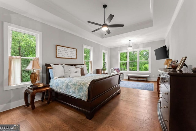 4847 Destitute Way, Gainesville, GA 30506 - bedroom featuring a raised ceiling, baseboards, and dark wood finished floors