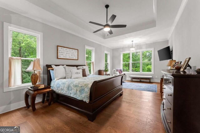4847 Destitute Way, Gainesville, GA 30506 - bedroom with a tray ceiling, a barn door, multiple windows, light wood-style flooring, and crown molding