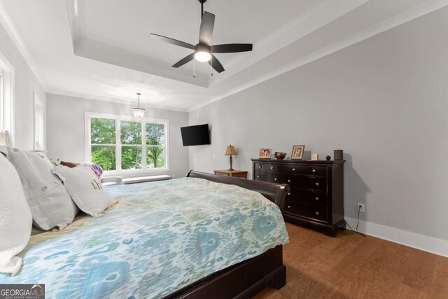 4847 Destitute Way, Gainesville, GA 30506 - bedroom with wood finished floors, a tray ceiling, baseboards, and a ceiling fan