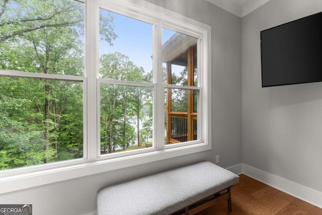 4847 Destitute Way, Gainesville, GA 30506 - sitting room with baseboards and wood finished floors