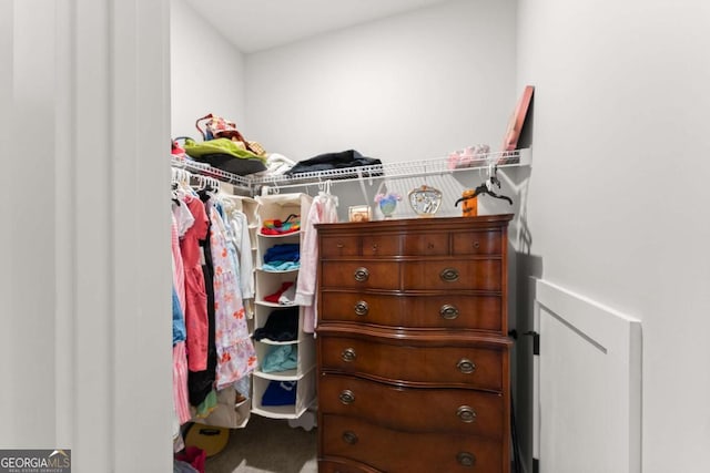 4847 Destitute Way, Gainesville, GA 30506 - spacious closet with carpet flooring