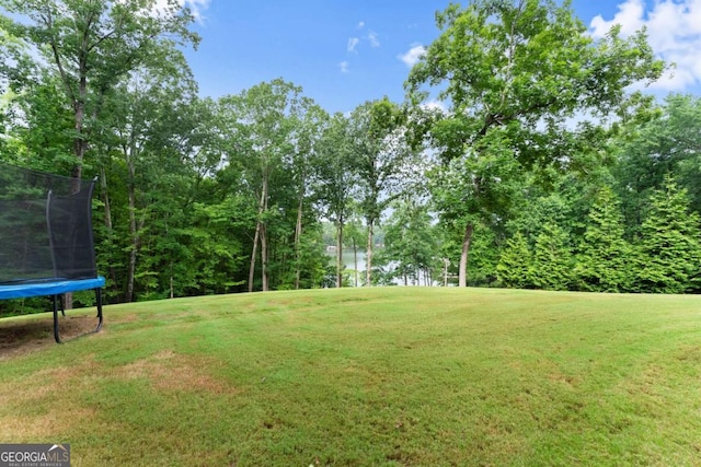 4847 Destitute Way, Gainesville, GA 30506 - view of green lawn featuring a trampoline