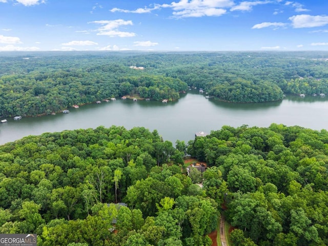4847 Destitute Way, Gainesville, GA 30506 - drone / aerial view of a heavily wooded area and a large body of water