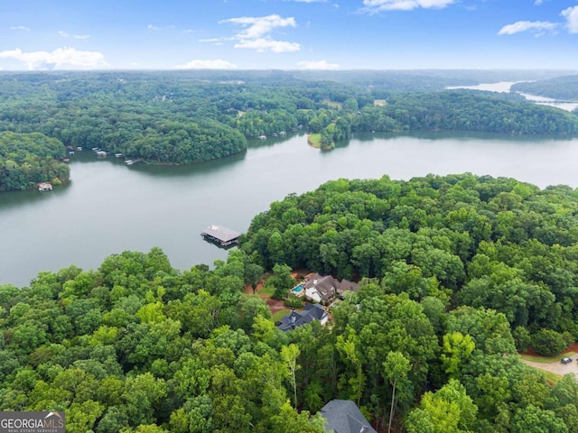 4847 Destitute Way, Gainesville, GA 30506 - bird's eye view of a forest and a nearby body of water