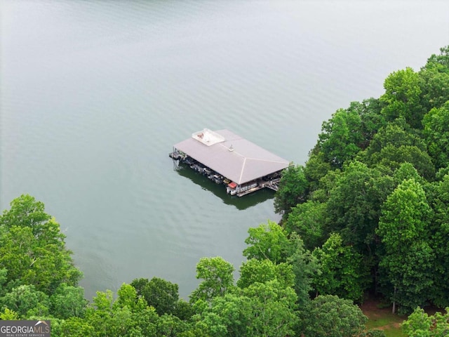 4847 Destitute Way, Gainesville, GA 30506 - aerial view of a large body of water
