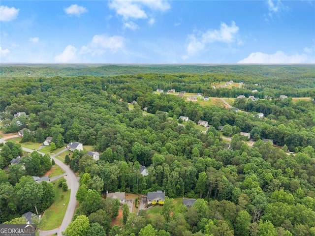 15 Baker St, Dahlonega, GA 30533 - bird's eye view of a forest