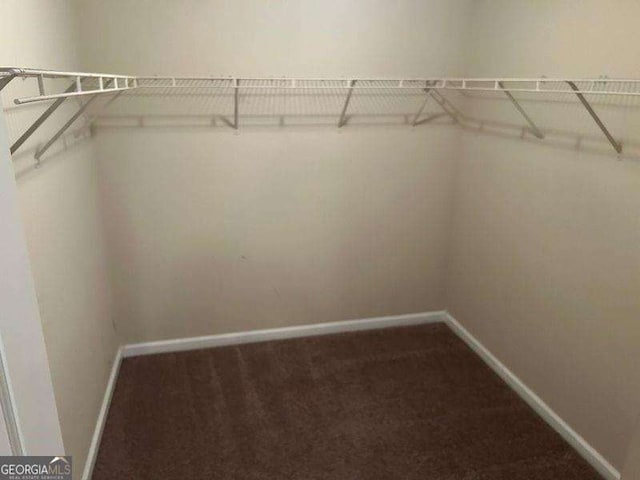 3140 Tylerton Dr SW, Atlanta, GA 30311 - walk in closet with carpet floors