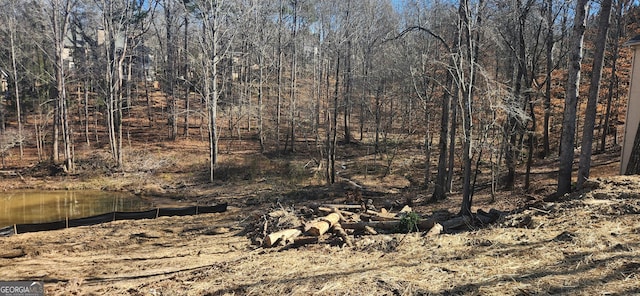 3728 Lake Vis, Douglasville, GA 30135